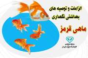 الزامات و توصیه های بهداشتی نگهداری ماهی قرمز